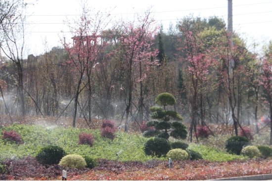 9142e030e0544b1495190bd1dec89e37.jpg 9142e030e0544b1495190bd1dec89e37.jpg