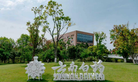 云南消费名品·企业品牌丨云南白药：将现代科技融入中医药发展